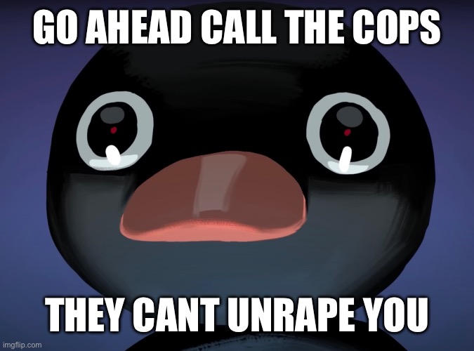 Pingu stare | GO AHEAD CALL THE COPS; THEY CANT UNRAPE YOU | image tagged in pingu stare | made w/ Imgflip meme maker