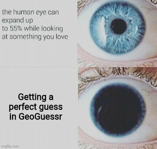 Eye pupil expand | Getting a perfect guess in GeoGuessr | image tagged in eye pupil expand,memes,video game,geoguessr | made w/ Imgflip meme maker