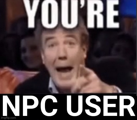 You're X (Blank) | NPC USER | image tagged in you're x blank,npc meme,angry npc wojak,npcprogramscreed,npc user | made w/ Imgflip meme maker