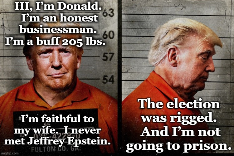Trump's Confession | HI, I’m Donald.  I’m an honest businessman. I’m a buff 205 lbs. The election was rigged.  And I’m not going to prison. I’m faithful to my wife.  I never met Jeffrey Epstein. | image tagged in trump,donald trump approves,maga,presidential race,donald trump you're fired,nevertrump meme | made w/ Imgflip meme maker