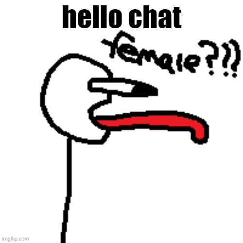 hello chat | made w/ Imgflip meme maker