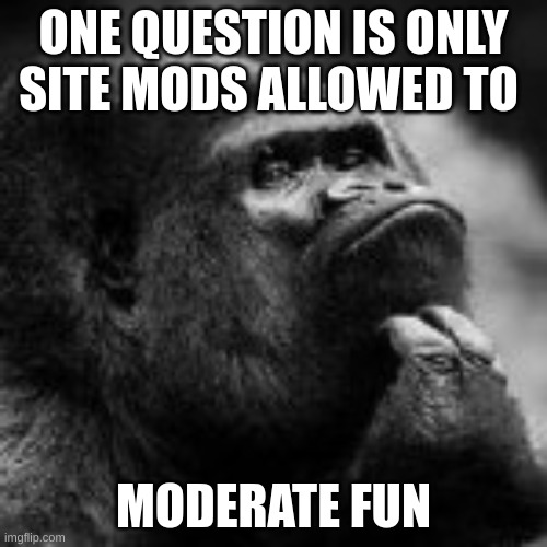 Fun | ONE QUESTION IS ONLY SITE MODS ALLOWED TO; MODERATE FUN | image tagged in memes,fun,lol,memer,rain | made w/ Imgflip meme maker