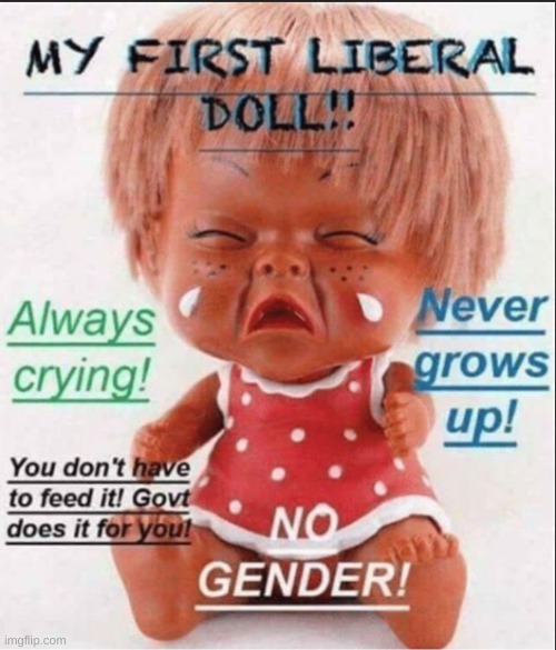 Lots of Dolls in Politics | made w/ Imgflip meme maker