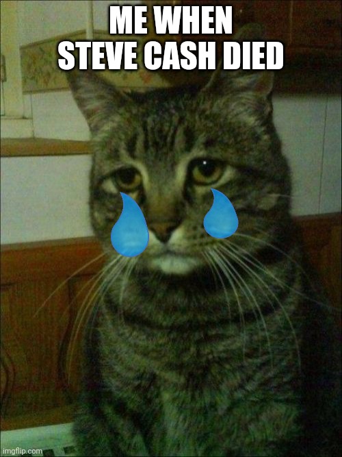 Sad rip | ME WHEN STEVE CASH DIED | image tagged in memes,depressed cat | made w/ Imgflip meme maker