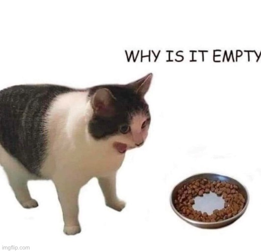 Why is it empty? | image tagged in why is it empty | made w/ Imgflip meme maker