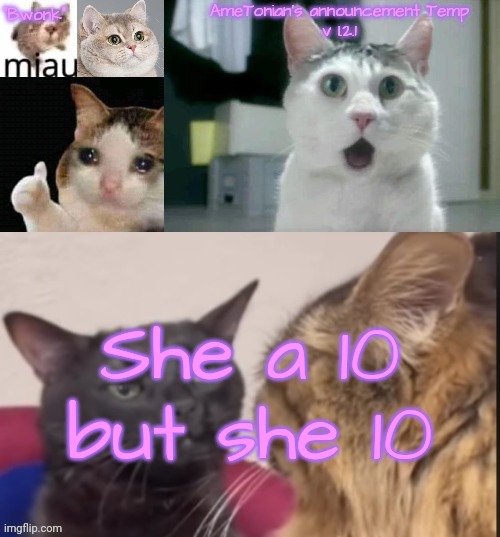 AmeTonian's announcement Temp v 1.2.1 | She a 10 but she 10 | image tagged in ametonian's announcement temp v 1 2 1 | made w/ Imgflip meme maker