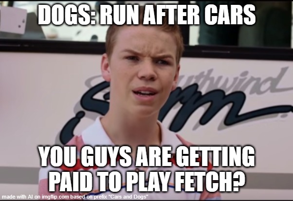 Funny dog meme haha xd | DOGS: RUN AFTER CARS; YOU GUYS ARE GETTING PAID TO PLAY FETCH? | image tagged in you guys are getting paid | made w/ Imgflip meme maker