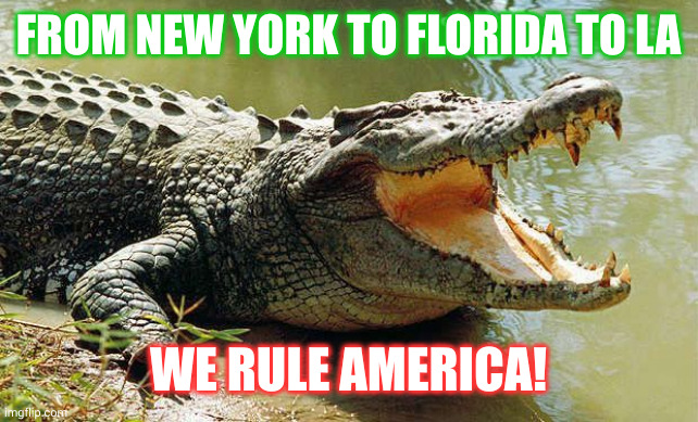 Gators control America | FROM NEW YORK TO FLORIDA TO LA; WE RULE AMERICA! | image tagged in crocodile barrel roll,lizards,memes,alligators,conspiracy,america | made w/ Imgflip meme maker