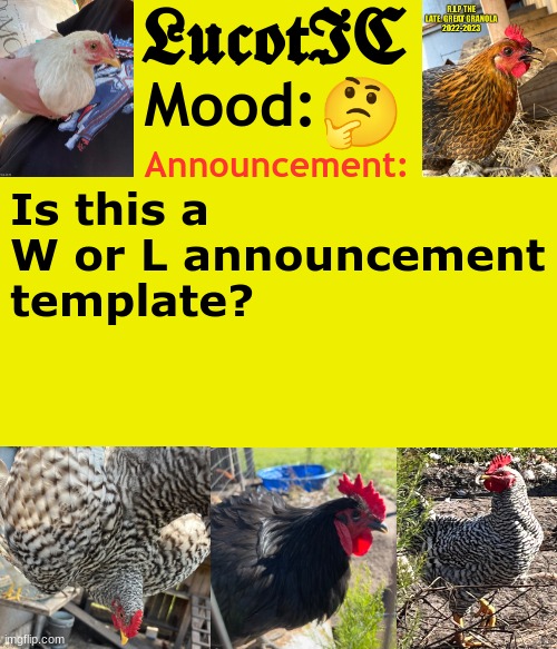 LucotIC's Cocks announcement template | 🤔; Is this a W or L announcement template? | image tagged in lucotic's cocks announcement template | made w/ Imgflip meme maker