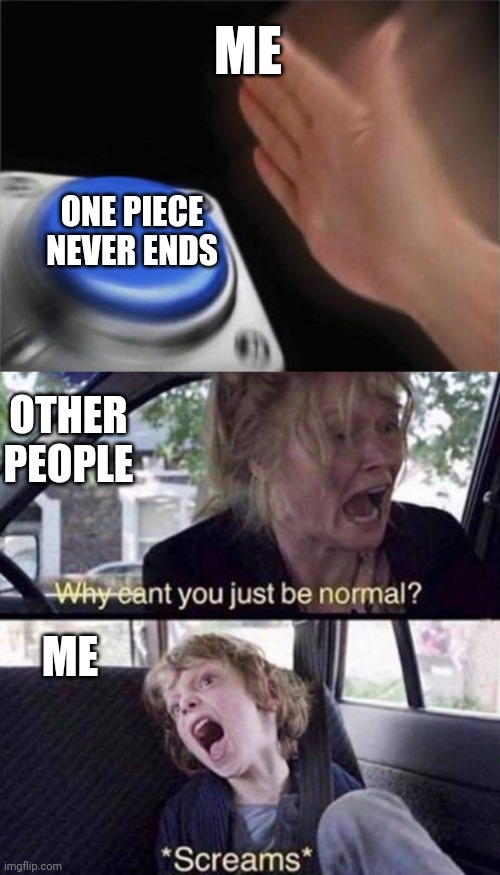Me: When is episode 1100 coming | ME; ONE PIECE NEVER ENDS; OTHER PEOPLE; ME | image tagged in memes,blank nut button,why can't you just be normal | made w/ Imgflip meme maker