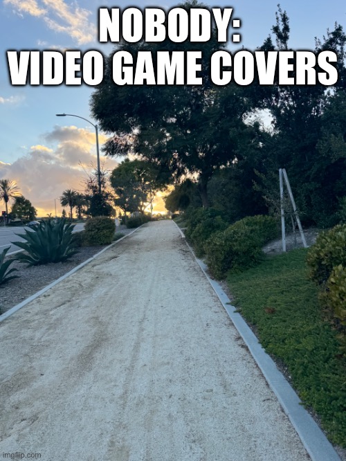 NOBODY: 
VIDEO GAME COVERS | image tagged in crimibal | made w/ Imgflip meme maker