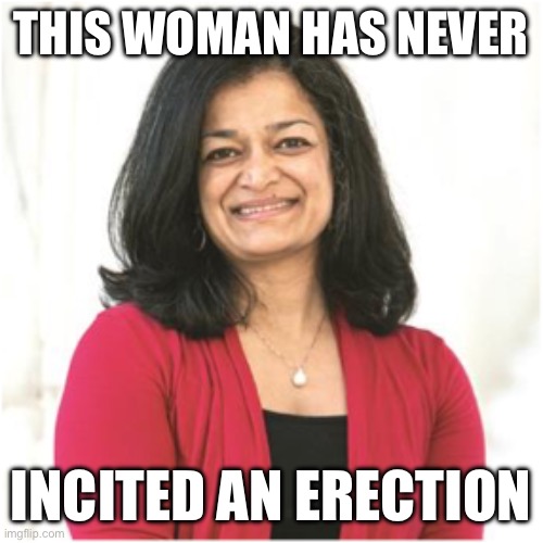 Maybe she should go after Ivanka. She incites erections constantly. | THIS WOMAN HAS NEVER; INCITED AN ERECTION | image tagged in pramila jayapal,politics,donald trump,hunter biden,funny memes,stupid liberals | made w/ Imgflip meme maker