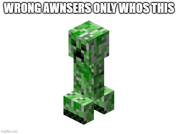 WRONG AWNSERS ONLY | WRONG AWNSERS ONLY WHOS THIS | image tagged in wrong | made w/ Imgflip meme maker