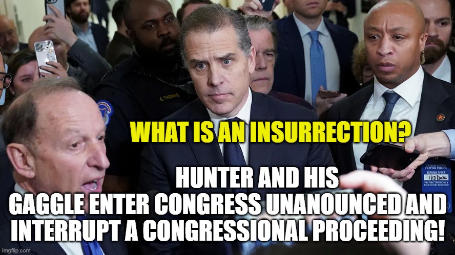 Insurrection, interrupt, proceeding | WHAT IS AN INSURRECTION? HUNTER AND HIS GAGGLE ENTER CONGRESS UNANOUNCED AND INTERRUPT A CONGRESSIONAL PROCEEDING! | made w/ Imgflip meme maker