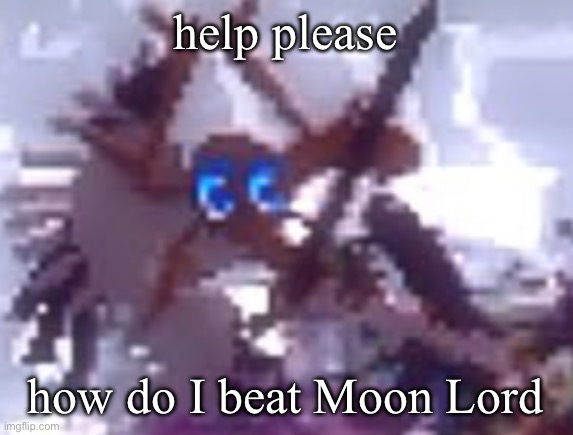 anarchy | help please; how do I beat Moon Lord | image tagged in anarchy | made w/ Imgflip meme maker