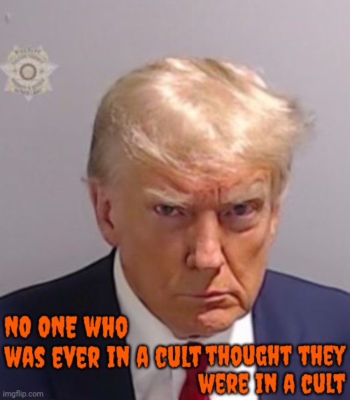 Come Back To The Light | NO ONE who was ever in a cult; thought they were in a cult | image tagged in donald trump mugshot,scumbag trump,con man,lock him up,trump lies,memes | made w/ Imgflip meme maker