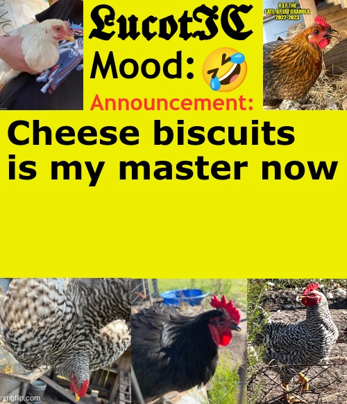 LucotIC's Cocks announcement template | 🤣; Cheese biscuits is my master now | image tagged in lucotic's cocks announcement template | made w/ Imgflip meme maker