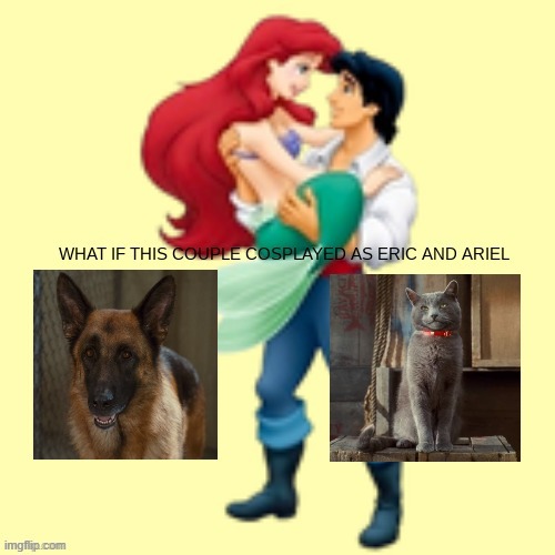 if diggs and catherine cosplayed as eric and ariel | image tagged in what if this couple cosplayed as eric and ariel,cats,dogs | made w/ Imgflip meme maker