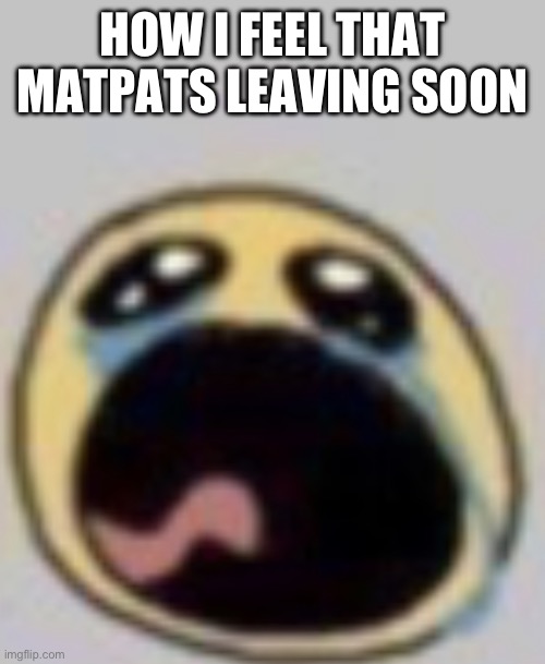 (I made this a template -bloomy) | HOW I FEEL THAT MATPATS LEAVING SOON | image tagged in sobbing loudly | made w/ Imgflip meme maker