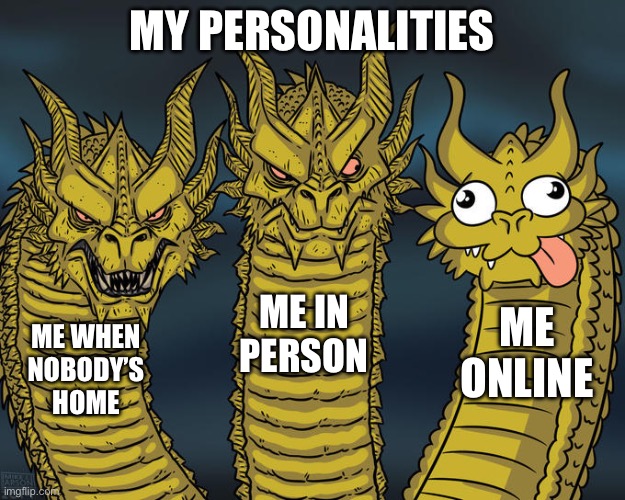 Can anyone relate? | MY PERSONALITIES; ME IN PERSON; ME ONLINE; ME WHEN NOBODY’S HOME | image tagged in three-headed dragon,memes,personality | made w/ Imgflip meme maker