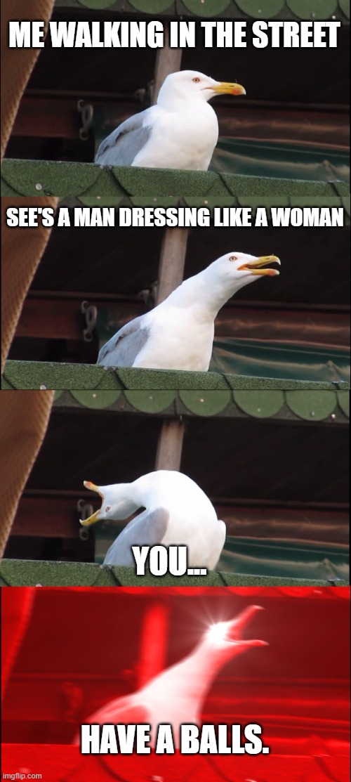 Dont fool me. | ME WALKING IN THE STREET; SEE'S A MAN DRESSING LIKE A WOMAN; YOU... HAVE A BALLS. | image tagged in memes,inhaling seagull | made w/ Imgflip meme maker