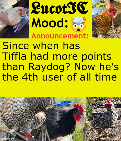 LucotIC's Cocks announcement template | 🤯; Since when has Tiffla had more points than Raydog? Now he's the 4th user of all time | image tagged in lucotic's cocks announcement template | made w/ Imgflip meme maker