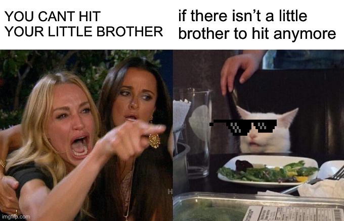 Woman Yelling At Cat | YOU CANT HIT YOUR LITTLE BROTHER; if there isn’t a little brother to hit anymore | image tagged in memes,woman yelling at cat | made w/ Imgflip meme maker
