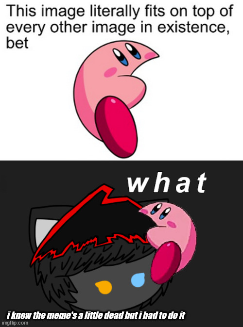 I'd say just barely (yes i drew the character he's stuck to) | i know the meme's a little dead but i had to do it | image tagged in kirby,kirbymelon,cat,bet | made w/ Imgflip meme maker