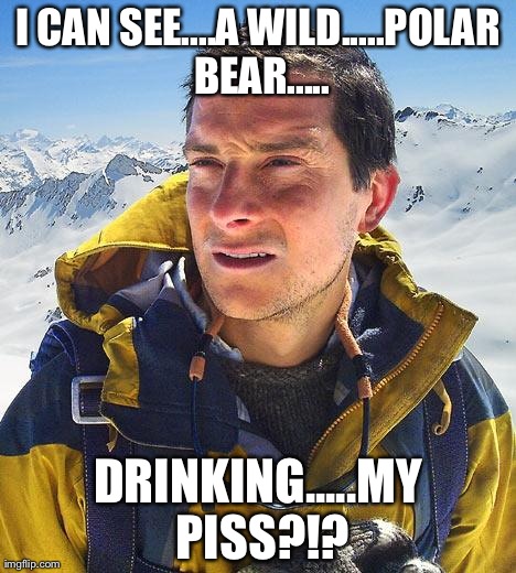 Bear Grylls | I CAN SEE....A WILD.....POLAR BEAR..... DRINKING.....MY PISS?!? | image tagged in memes,bear grylls | made w/ Imgflip meme maker