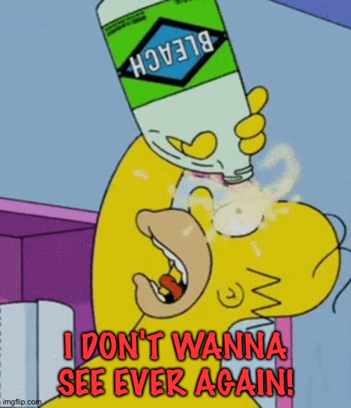 Homer bleaching eyes | I DON'T WANNA SEE EVER AGAIN! | image tagged in homer bleaching eyes | made w/ Imgflip meme maker