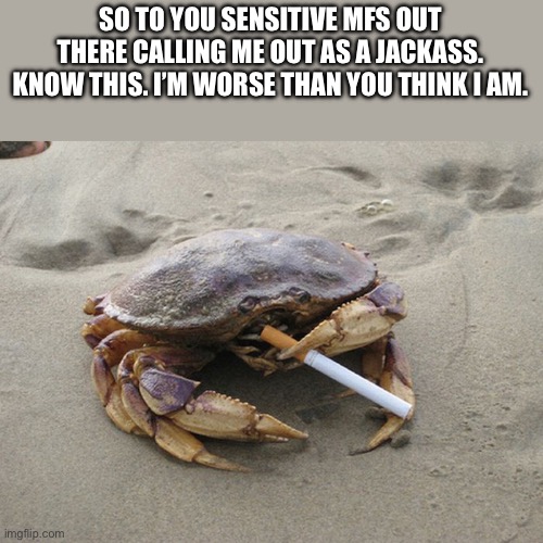 Idfc about it either | SO TO YOU SENSITIVE MFS OUT THERE CALLING ME OUT AS A JACKASS. KNOW THIS. I’M WORSE THAN YOU THINK I AM. | image tagged in smoking crab | made w/ Imgflip meme maker