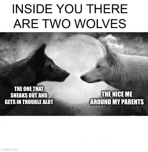 It’s true | THE ONE THAT SNEAKS OUT AND GETS IN TROUBLE ALOT; THE NICE ME AROUND MY PARENTS | image tagged in inside you there are two wolves,funny | made w/ Imgflip meme maker