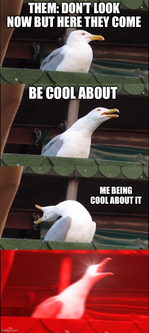 Inhaling Seagull Meme | THEM: DON’T LOOK NOW BUT HERE THEY COME; BE COOL ABOUT; ME BEING COOL ABOUT IT | image tagged in memes,inhaling seagull | made w/ Imgflip meme maker