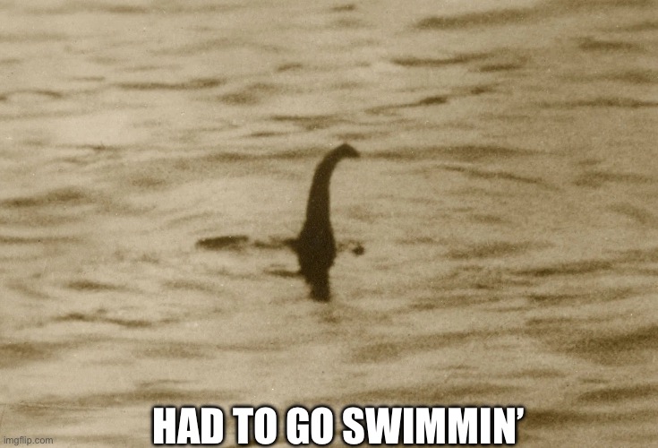 I went swimming | HAD TO GO SWIMMIN’ | image tagged in nessie,swimming,sports | made w/ Imgflip meme maker