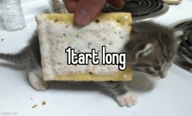 Lol | image tagged in memes,funny,cats | made w/ Imgflip meme maker