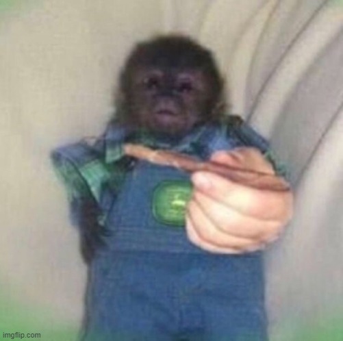 pass the boof monkey boi | made w/ Imgflip meme maker