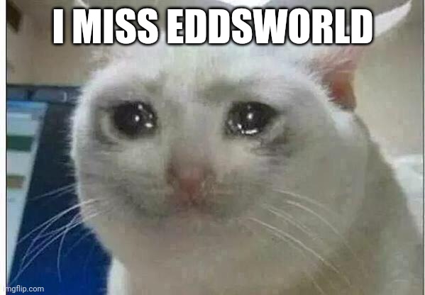 I miss just sitting down and watching the funny British people, now I have to worry about school and my health, life sucks | I MISS EDDSWORLD | image tagged in crying cat,eddsworld | made w/ Imgflip meme maker