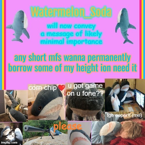 soda's gayass blahaj temp | any short mfs wanna permanently borrow some of my height ion need it; please | image tagged in soda's gayass blahaj temp | made w/ Imgflip meme maker
