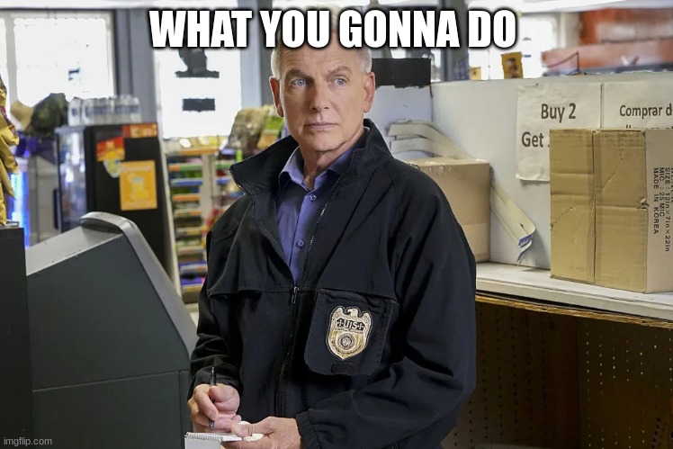 ncis gibbs taking notes | WHAT YOU GONNA DO | image tagged in ncis gibbs taking notes | made w/ Imgflip meme maker