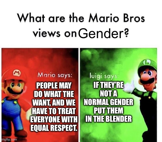 =/ | Gender; IF THEY’RE NOT A NORMAL GENDER PUT THEM IN THE BLENDER; PEOPLE MAY DO WHAT THE WANT, AND WE HAVE TO TREAT EVERYONE WITH EQUAL RESPECT. | image tagged in mario bros views,mario,luigi | made w/ Imgflip meme maker