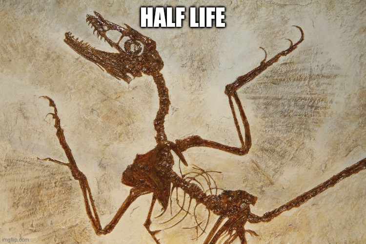 What N' Fossilization | HALF LIFE | image tagged in what n' fossilization | made w/ Imgflip meme maker