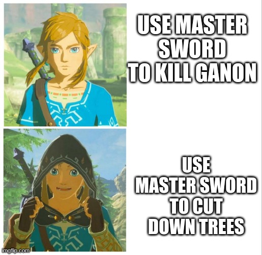 Another Zelda meme | USE MASTER SWORD TO KILL GANON; USE MASTER SWORD TO CUT DOWN TREES | image tagged in link drake hotline bling | made w/ Imgflip meme maker