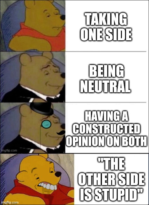 Here's another meme I'll say "cringe" in 4 years | TAKING ONE SIDE; BEING NEUTRAL; HAVING A CONSTRUCTED OPINION ON BOTH; "THE OTHER SIDE IS STUPID" | image tagged in good better best wut,finnaly someone who reads the tags | made w/ Imgflip meme maker