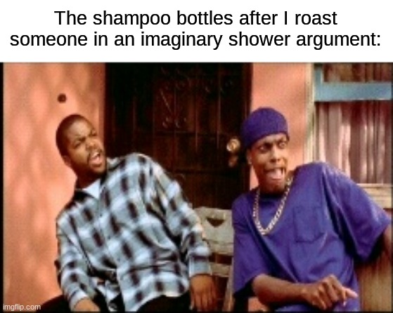 dangggggggggg | The shampoo bottles after I roast someone in an imaginary shower argument: | image tagged in damnnnn you got roasted,memes,funny,relatable | made w/ Imgflip meme maker