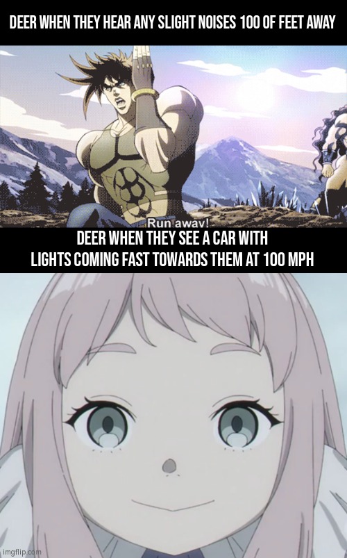 This Deer Logic is so unpredictable. | Deer when they hear any slight noises 100 of feet away; Deer when they see a car with lights coming fast towards them at 100 mph | image tagged in memes,funny,deer | made w/ Imgflip meme maker