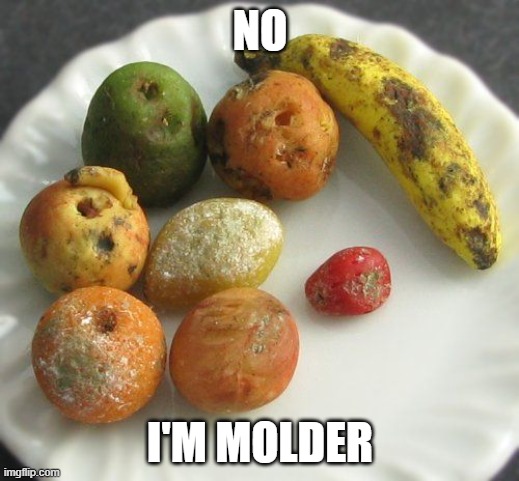 Moldy fruit | NO I'M MOLDER | image tagged in moldy fruit | made w/ Imgflip meme maker