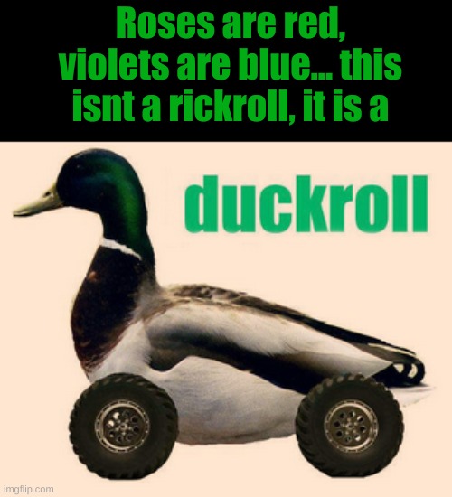 duckroll | Roses are red, violets are blue... this isnt a rickroll, it is a | image tagged in duckroll | made w/ Imgflip meme maker
