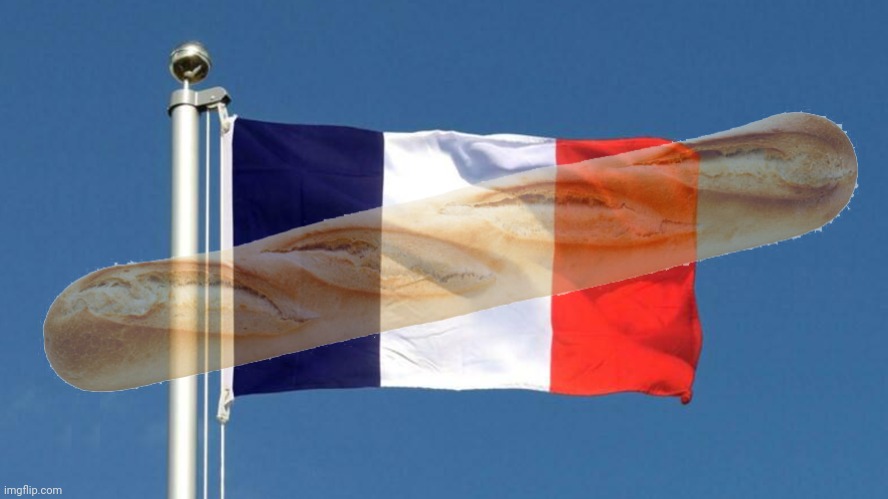 french flag | image tagged in french flag | made w/ Imgflip meme maker