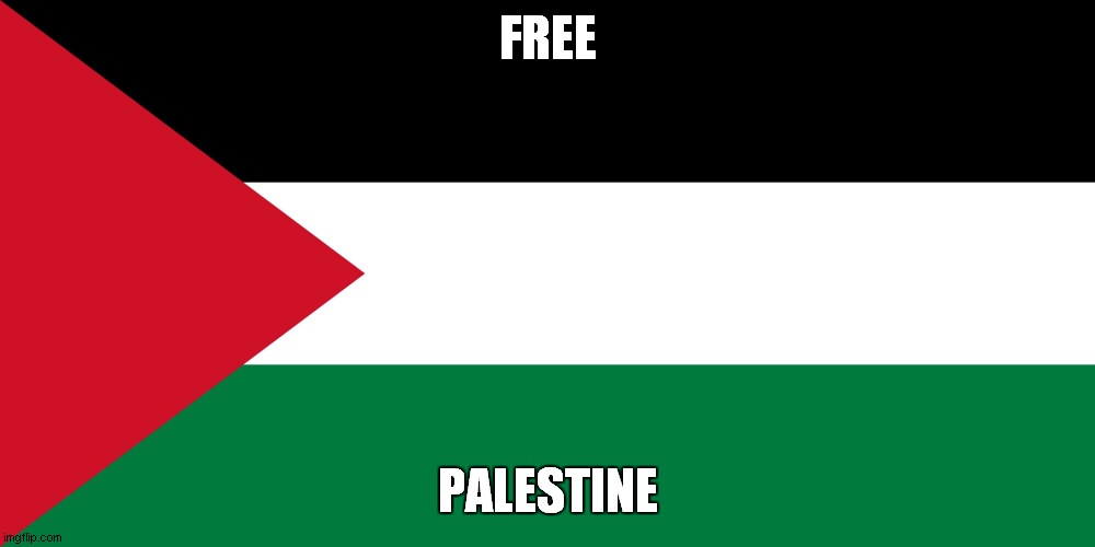 palestine | FREE; PALESTINE | image tagged in palestine | made w/ Imgflip meme maker