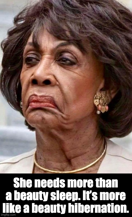 Fugly looney leftist | She needs more than a beauty sleep. It’s more like a beauty hibernation. | image tagged in maxine waters | made w/ Imgflip meme maker